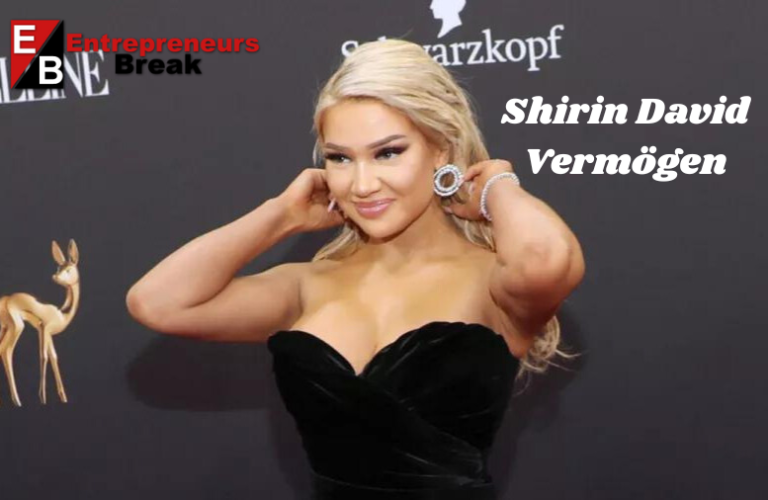 Shirin David Vermögen